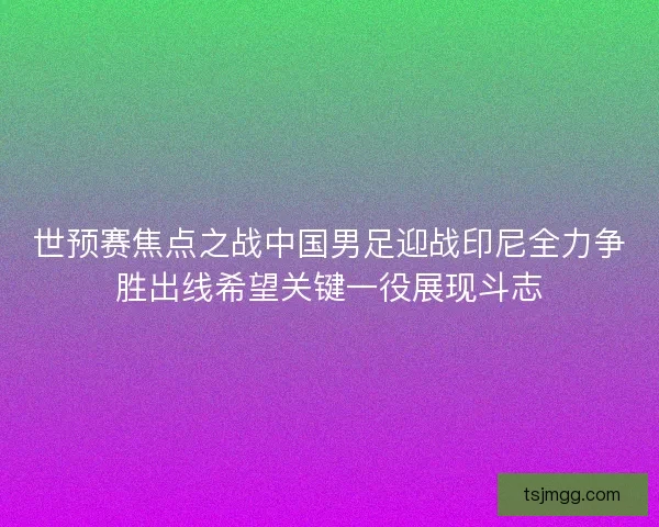 世预赛焦点之战中国男足迎战印尼全力争胜出线希望关键一役展现斗志