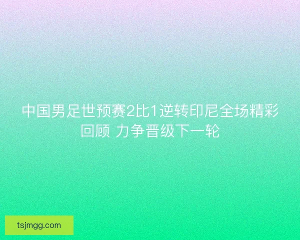 中国男足世预赛2比1逆转印尼全场精彩回顾 力争晋级下一轮 中国男足世预赛2比1逆转印尼全场精彩回顾 力争晋级下一轮